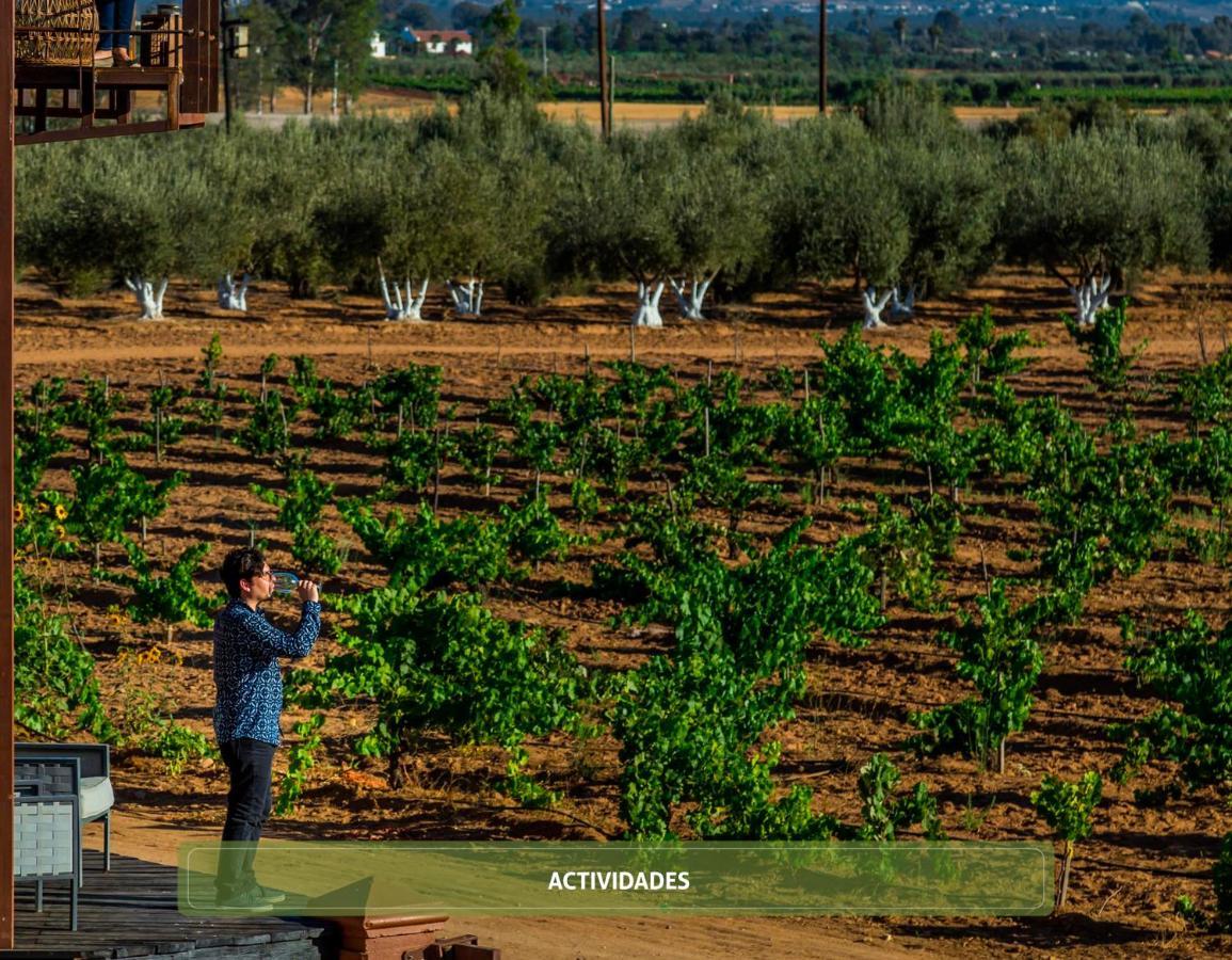 Entre Vinedos By Hotel Boutique Valle De Guadalupe Valle de Guadalupe Exterior foto