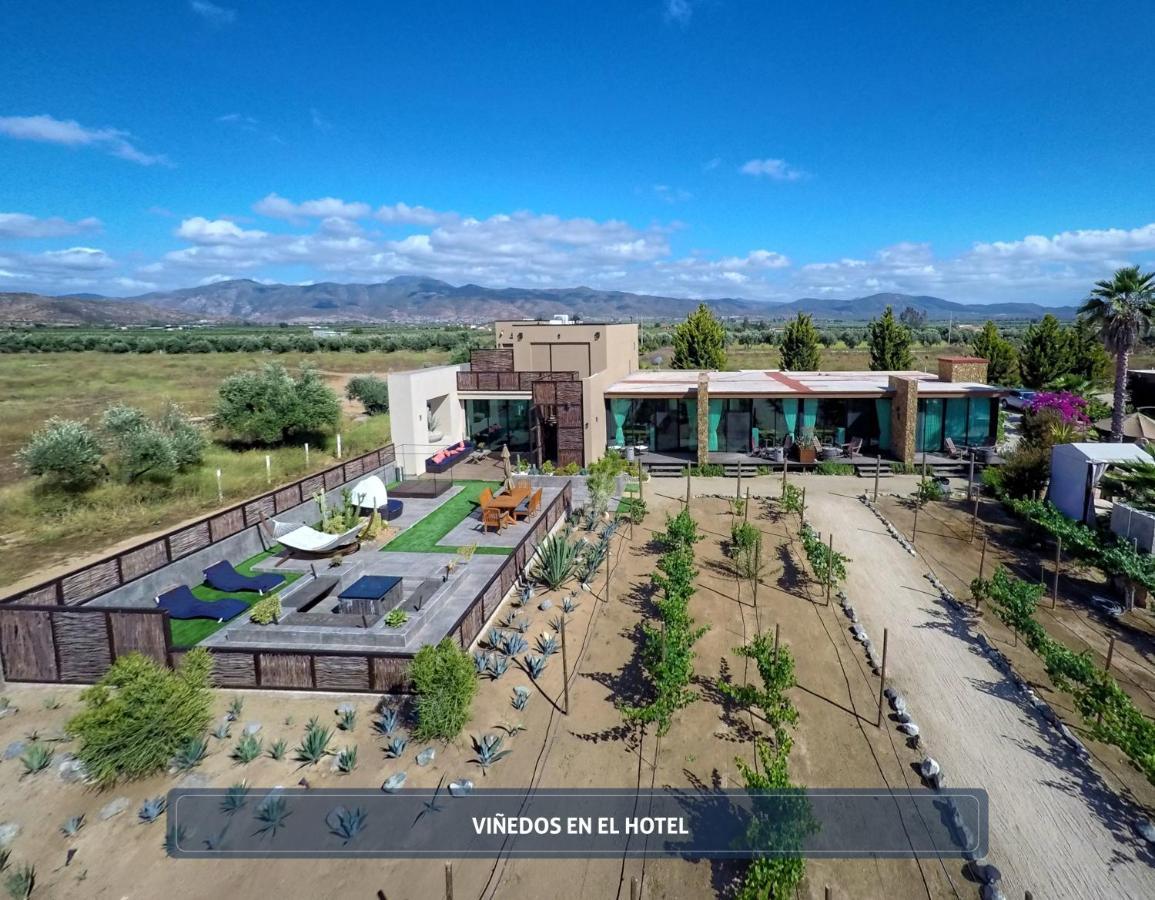 Entre Vinedos By Hotel Boutique Valle De Guadalupe Valle de Guadalupe Exterior foto
