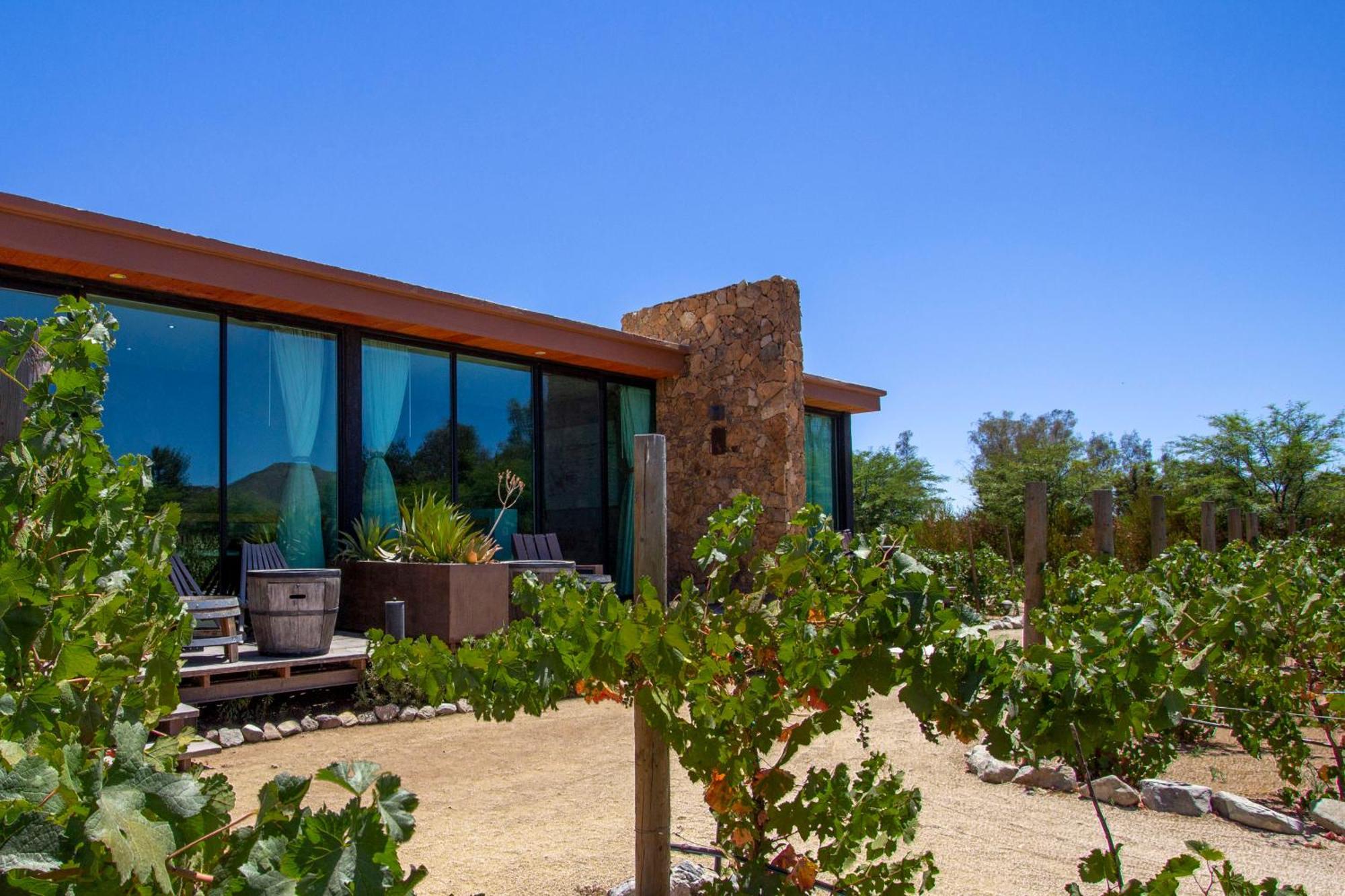Entre Vinedos By Hotel Boutique Valle De Guadalupe Valle de Guadalupe Exterior foto